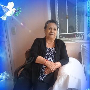 Meet your Posher, Norma